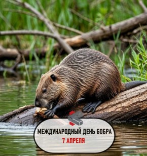 #такойсегодняпраздник. Успехов в достижении целей!