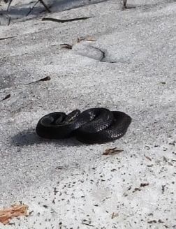 ������������ ���� �������� � ��������� �����������