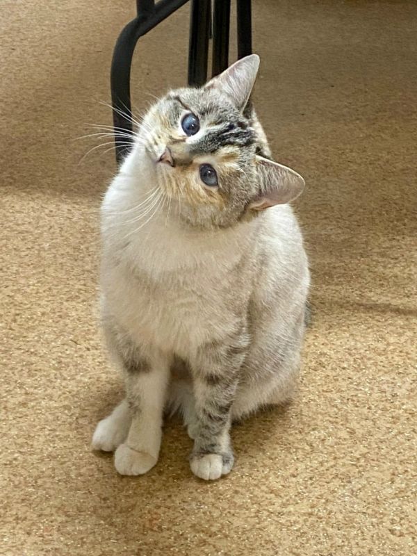 ����� �� ������ ����� ���� ���