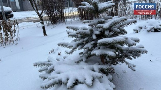 � ��������� ������� ��������� �������������������