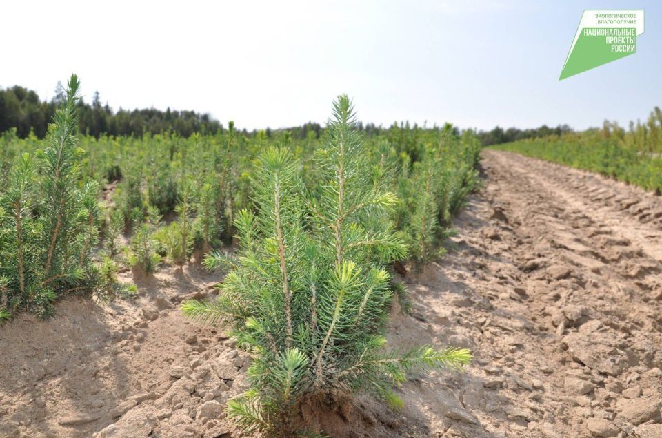 � ��������� ������� ����������� 39000 �������� ����