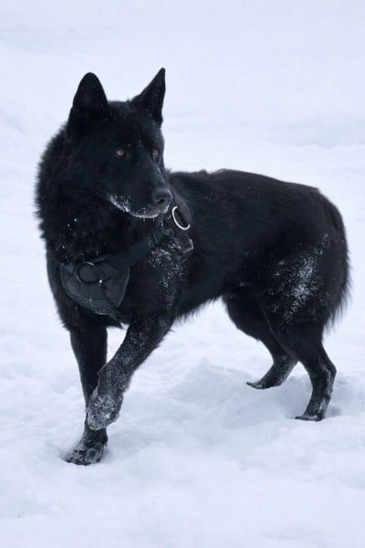 ���� ������ �� ��������� ������� � ������������ �� ��. 14 ������������ ������ �� 27.12.2018 � 498-�� ��� ������������� ��������� � ��������� � � �������� ��������� � ��������� ��������������� ���� ���������� ���������...