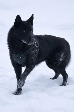 ���� ������ �� ��������� ������� � ������������ �� ��. 14 ������������ ������ �� 27.12.2018 � 498-�� ��� ������������� ��������� � ��������� � � �������� ��������� � ��������� ��������������� ���� ���������� ���������...