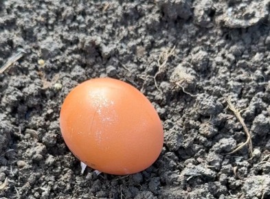 ��������� ������ � ���������: ��� ����� ���� �������� �����������