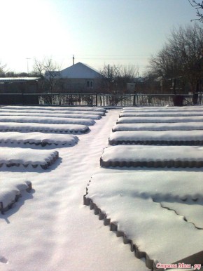 Непридуманный помощник зимнего сада: секреты правильного обращения со снегом