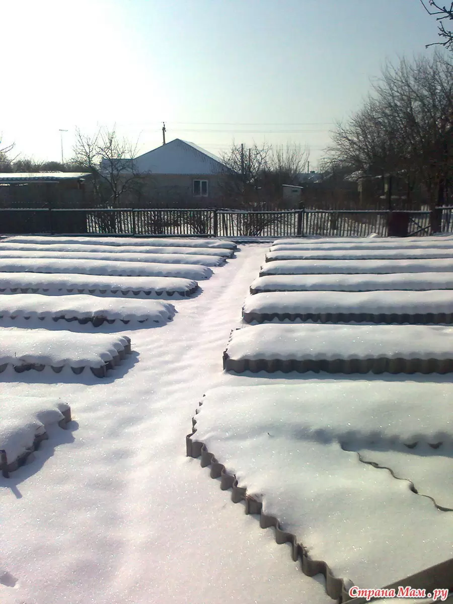 Непридуманный помощник зимнего сада: секреты правильного обращения со снегом