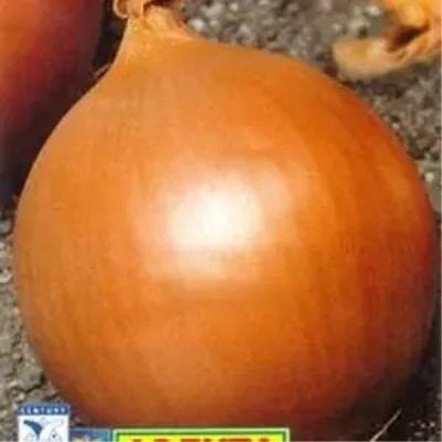 ��� ������: ��������� ����� ��� �������� � ����������� � ������� �������