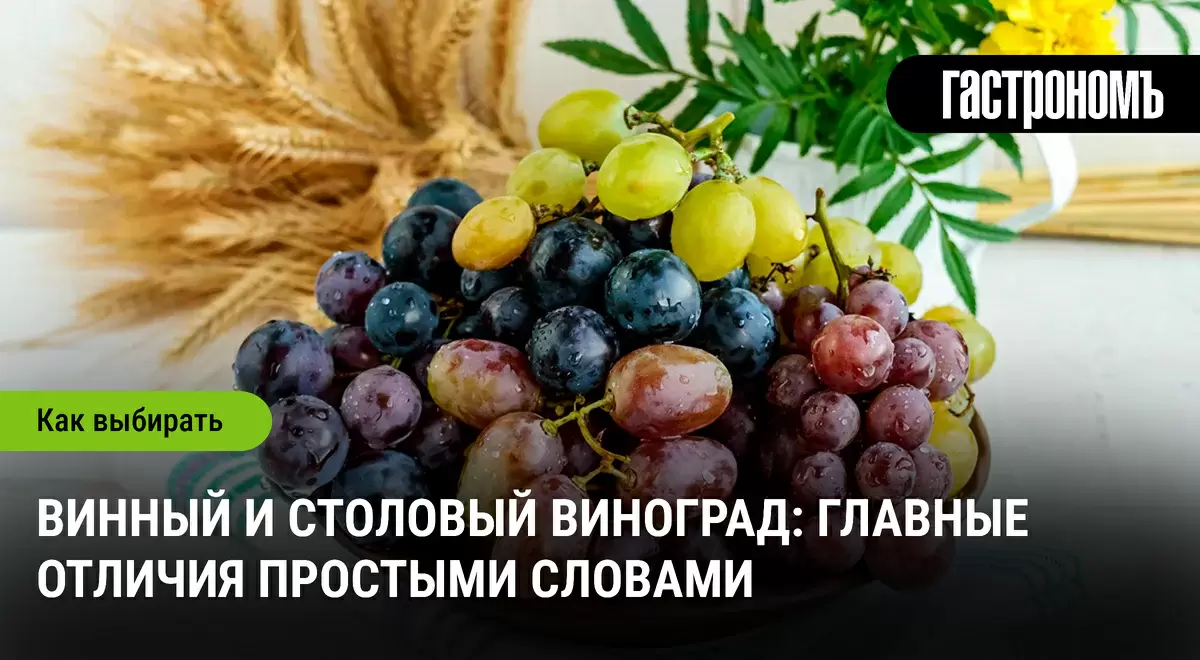 Как выбрать идеальный виноград для вина и стола