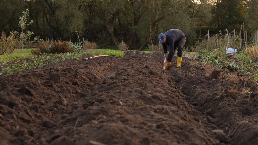 ��� ������� ��������� ����� ������� ����������� ����� ��� �����