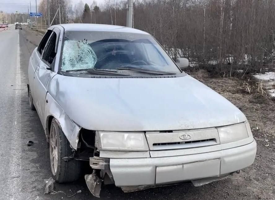 19-������ ���������� ���� ���������� ���������� ���� � ������ ��������