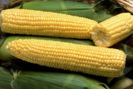 �������� �����: ��� ��������� ������ ������ ��� ������ ������