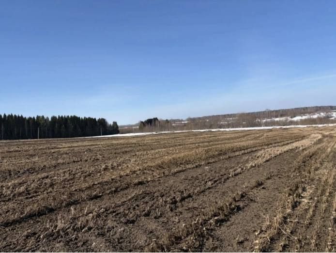 � ���������� ������ ������������������ ������� ����� � ����