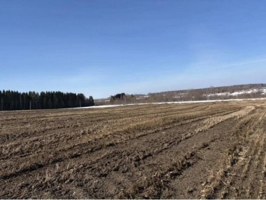 � ���������� ������ ������������������ ������� ����� � ����