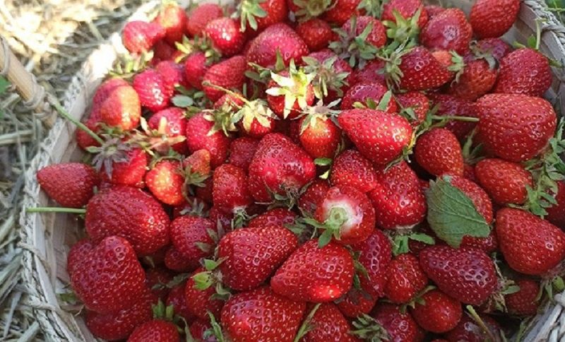 ��� ��������� ������ �������� ������ �� ����� ��� ��� ����� � ���������