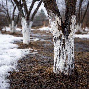 ������ ������� ��������: ������ ��� ����� �� ���������