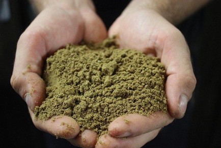 Норвегия на передовой: новые технологии переработки рыбы для улучшения качества и здоровья