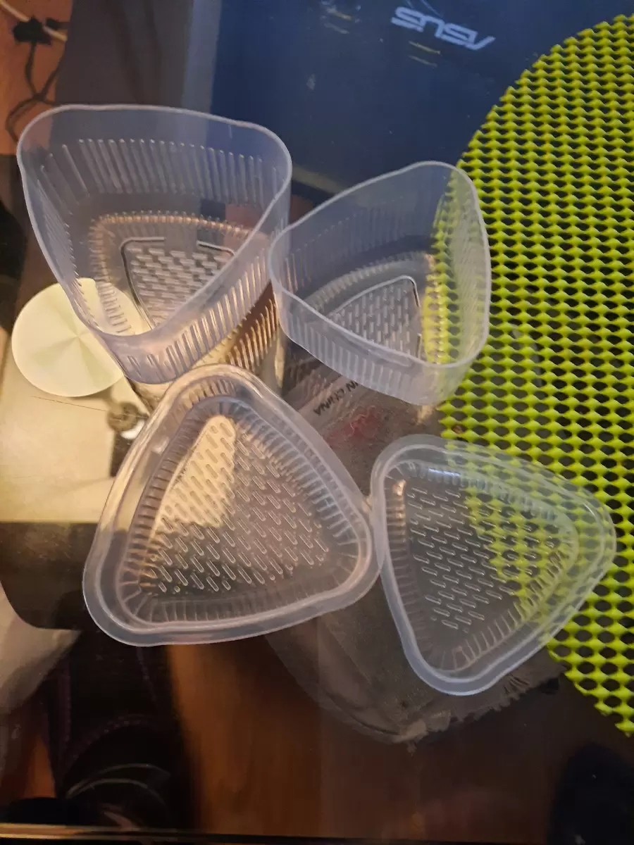 Новые горизонты онигири