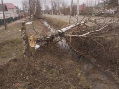 В Кирове из-за ветра оборвало кабель освещения и повалило деревья