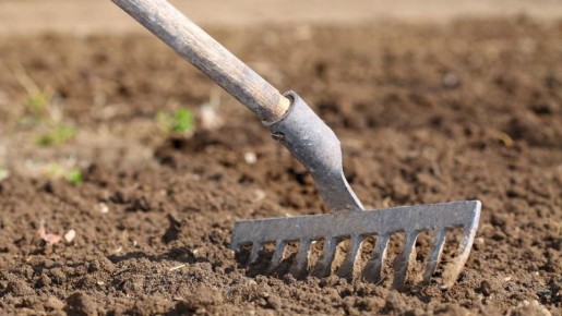 ����� �� ����: ��� ����������� ������ ��� ������������� ������