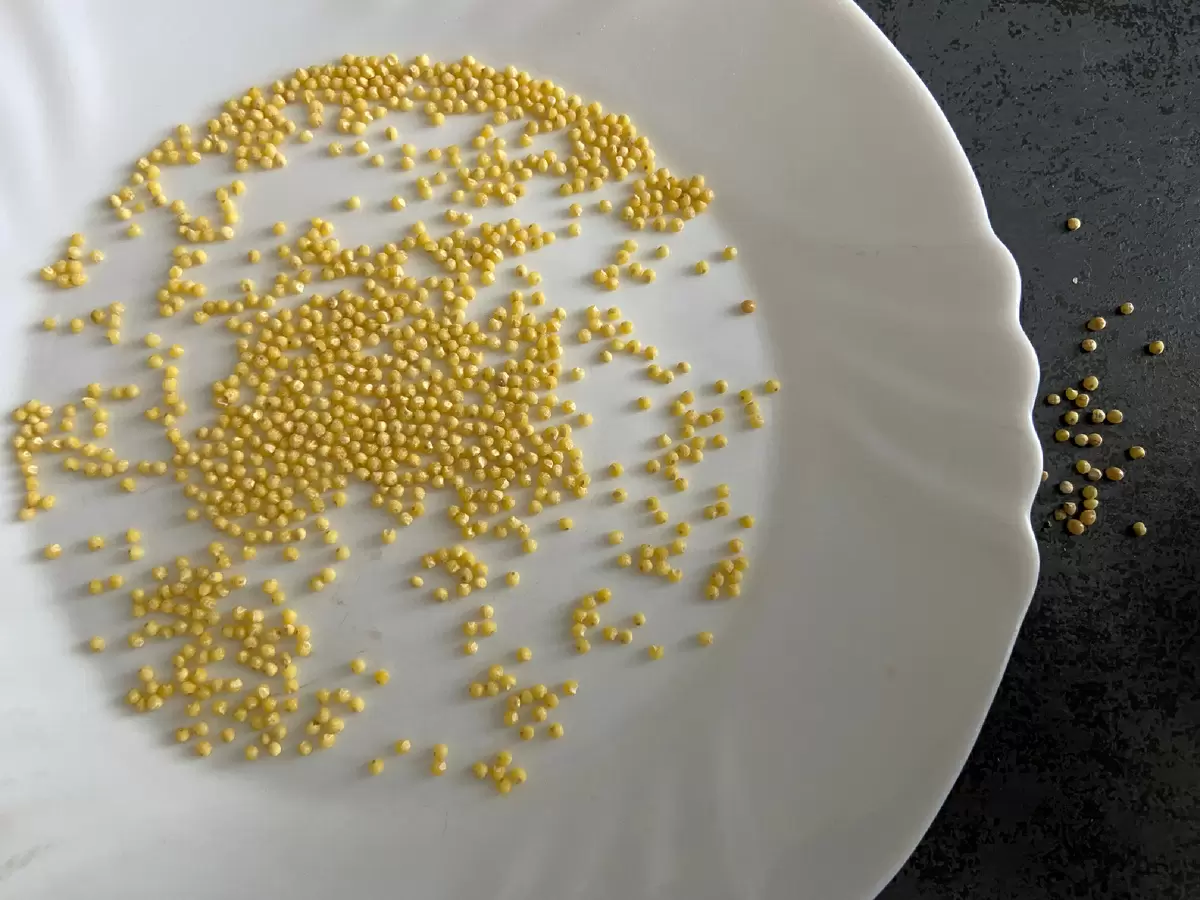 Идеальная пшенная каша: секреты мастерства и необычные советы