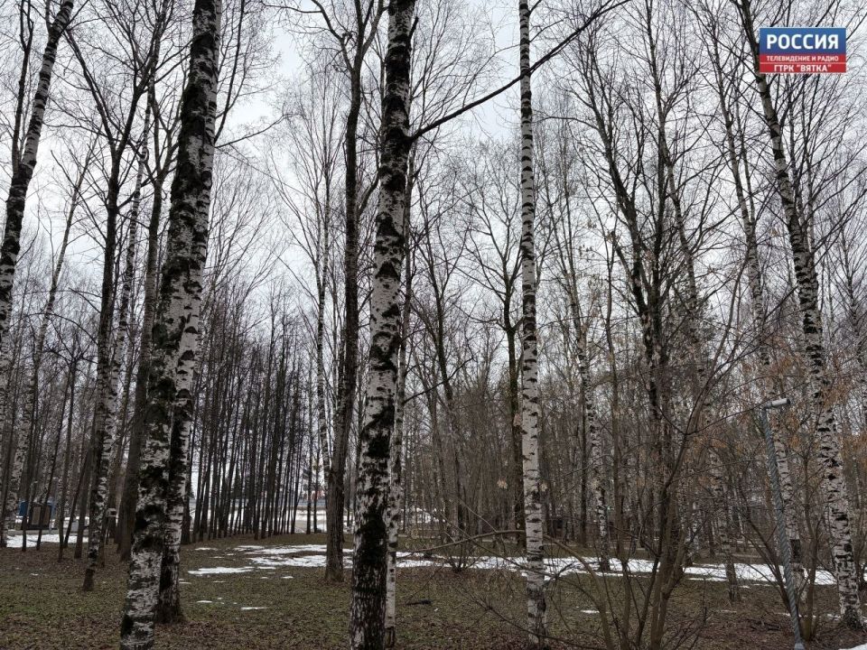 � �������, 11 ������, � ��������� ������� ��������� �������� � ������������ ������, ��������������� ��� �������, �������� � ������������ ������ �� ����������������� � ����������� ���������� �����