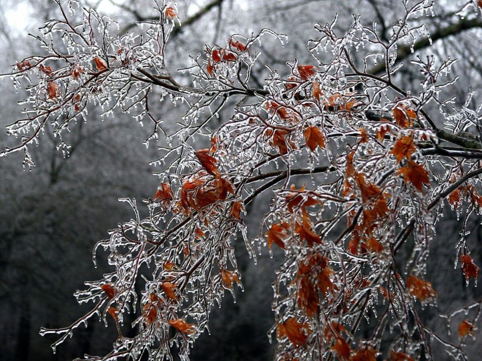 ����������� ������ ��� ������ ����: ��� �������� �������� �� ������������� �������