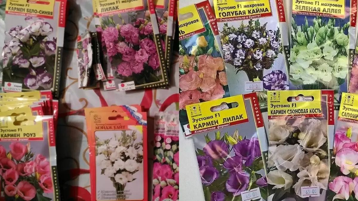 Как выбрать качественные семена эустомы: секреты успешного посева