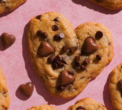 ������ ���� ��������� �������� � 14 ������� ��� �������