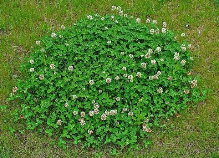 ��������� �����: ������������, � ������� �� �� �����