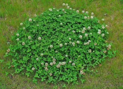 ��������� �����: ������������, � ������� �� �� �����