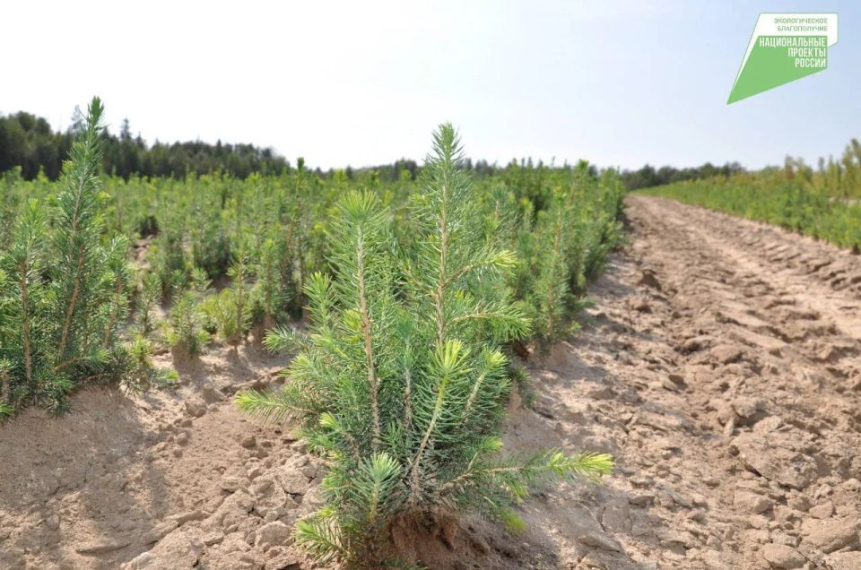 � ��������� ������� � ���� ���� ����������� 39 ����� �������� ����