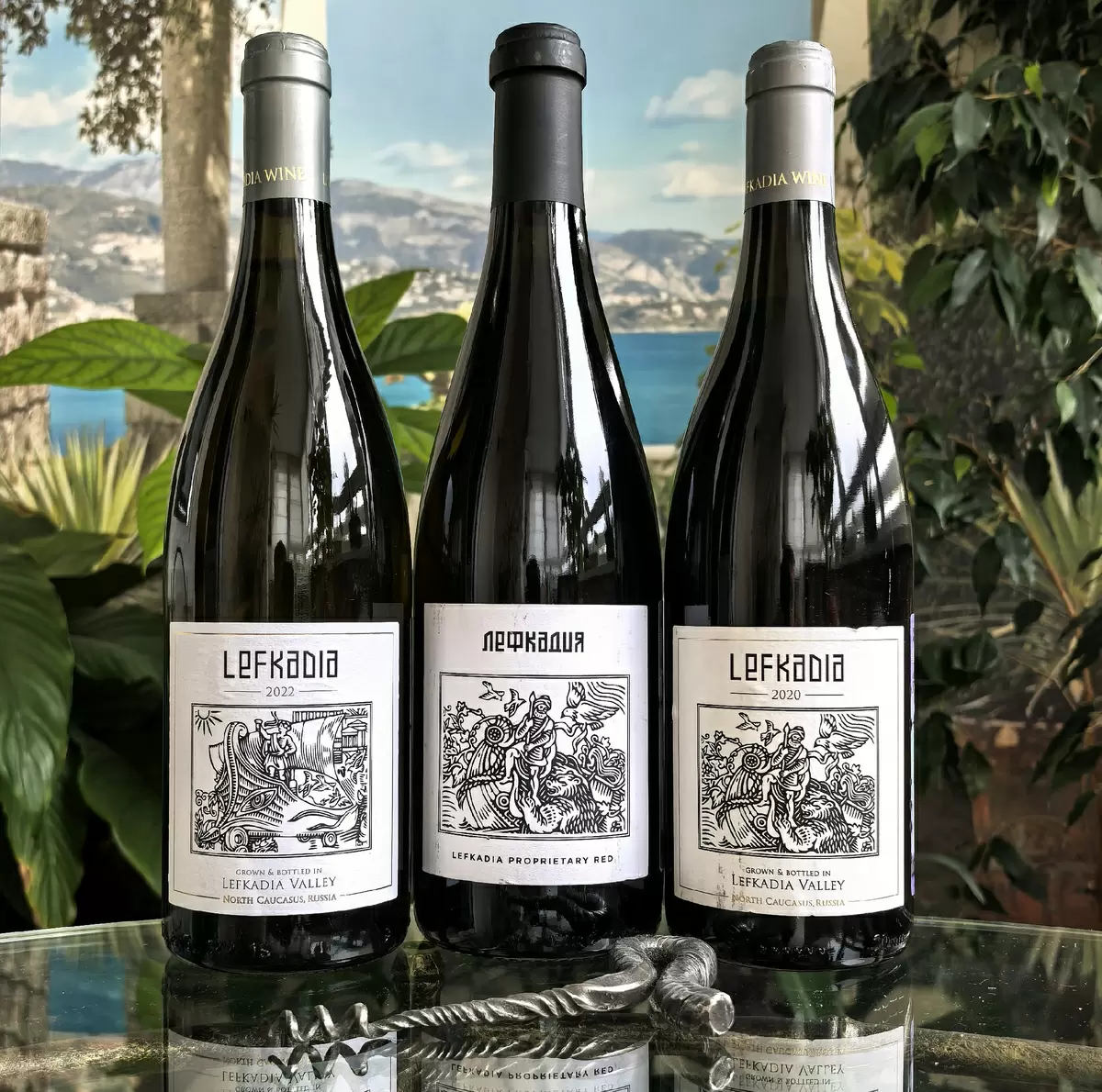 Новые грани вин «Лефкадии»: увлекательное путешествие в мир красного и белого