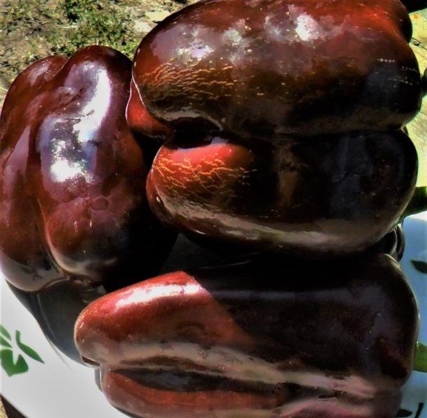 ���������� ��������: ��� ��������� ������� ����� � ���������� ������