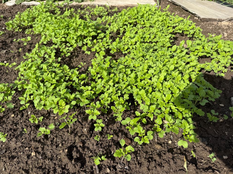 ��� ������� �������� ������� ��� ����������� ����� � ���������� ������