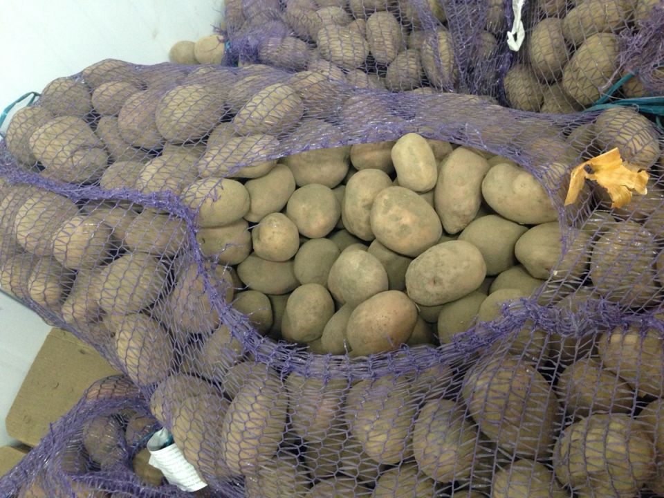 �������� �������� ��������: ������ � �����