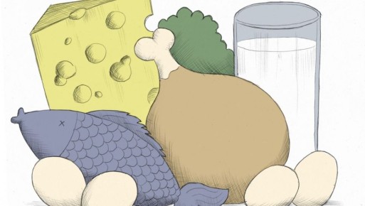 ������ ������ �������� ��� �������� ����������: ������������ ����������������