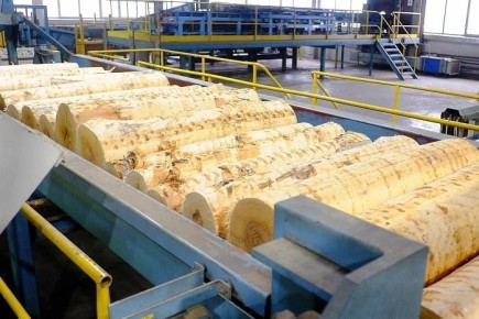 Из Кировской области с начала года вывезено более 17 тысяч кубометров пиломатериалов в Узбекистан