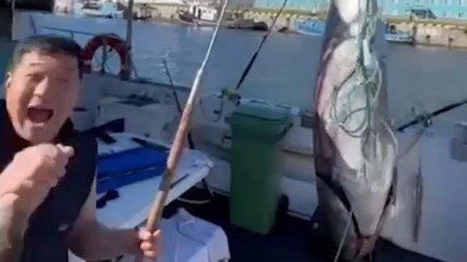 �� ������� ������� ����������� ����� ���������� ����� 160 ��������� ������