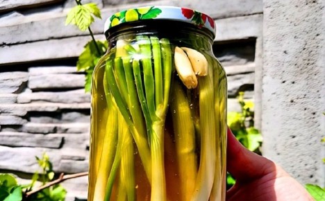 Маринованный зелёный лук: как сделать его незаменимой закуской за одну ночь