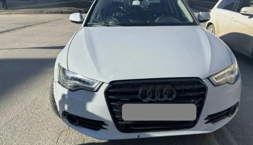 Информация носит предварительный характер