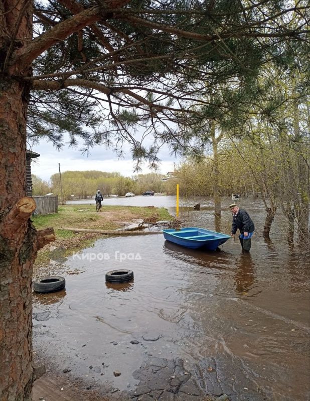 131 ���������� ���������� ���������� � ��������� �������