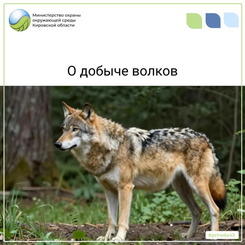 ����� ����� �� ����� ���������� 31 �����