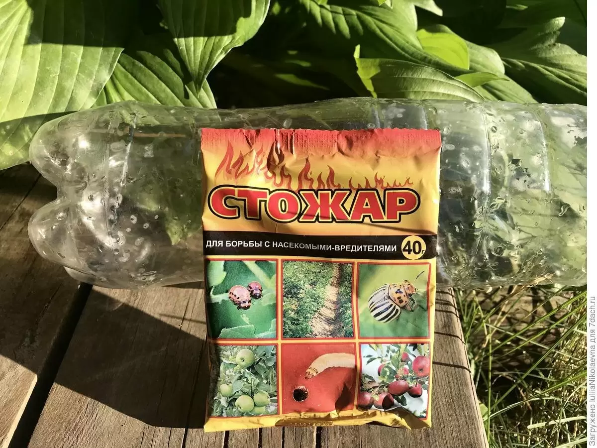 Инсектицид «Стожар»: быстрый ответ на угрозу в саду