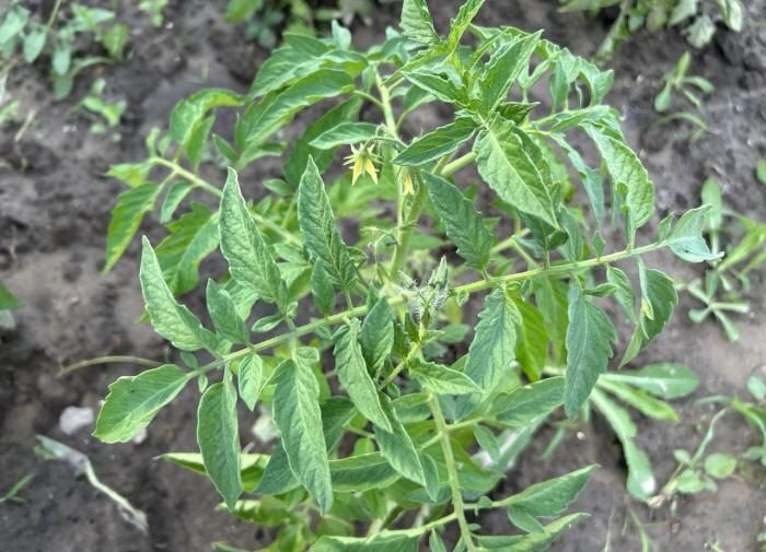 ��� 5 ������ ���� ����� �������� ������ � ������ �������