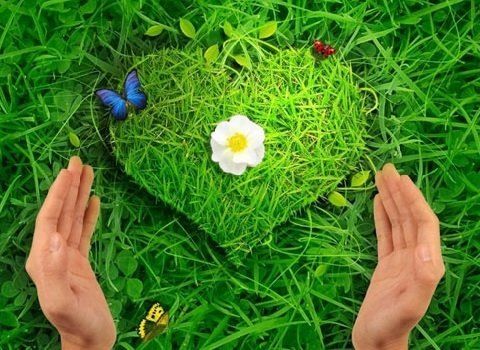 ������������ �� �����������: ��� ������� ��������� ��� �����