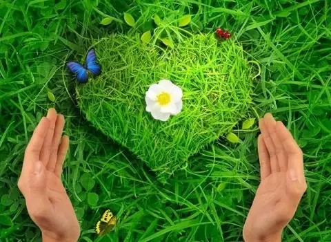 Влюбленность не обязательна: как строить отношения без любви