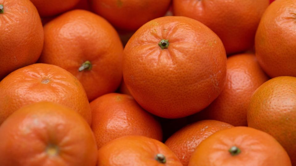 ������������ ��� � �������: ������ ����� ����������� ������