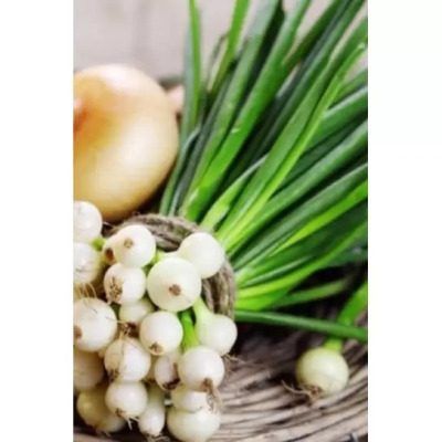 ��� �������: ������� ��������� ����� � ��������