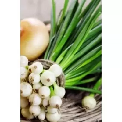 Лук Восторг: секреты успешного роста и хранения