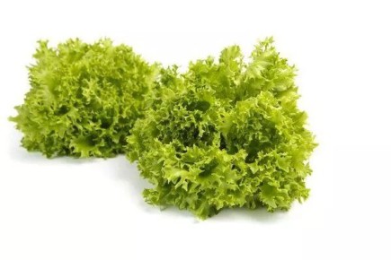 ������� �������: ��������������� ������� ����������� 2025 ����